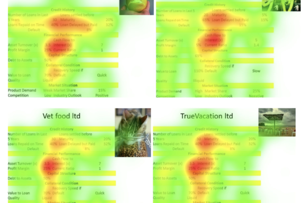 Rola emocji i obrazów przy podejmowaniu decyzji finansowych